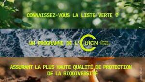 Cette galerie d'images reprend des captures d'écran de la campagne UICN Comité français - Fax For Future par l'agence BETC Paris. Cette activation utilise le FAX pour communiquer auprès d'une cible bien précise : les Maires Français. Une campagne du bench ADFORUM pour PITCHVILLE.